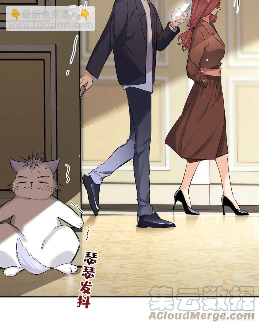 《今天也要努力当只猫》47坏女人！ 第10页
