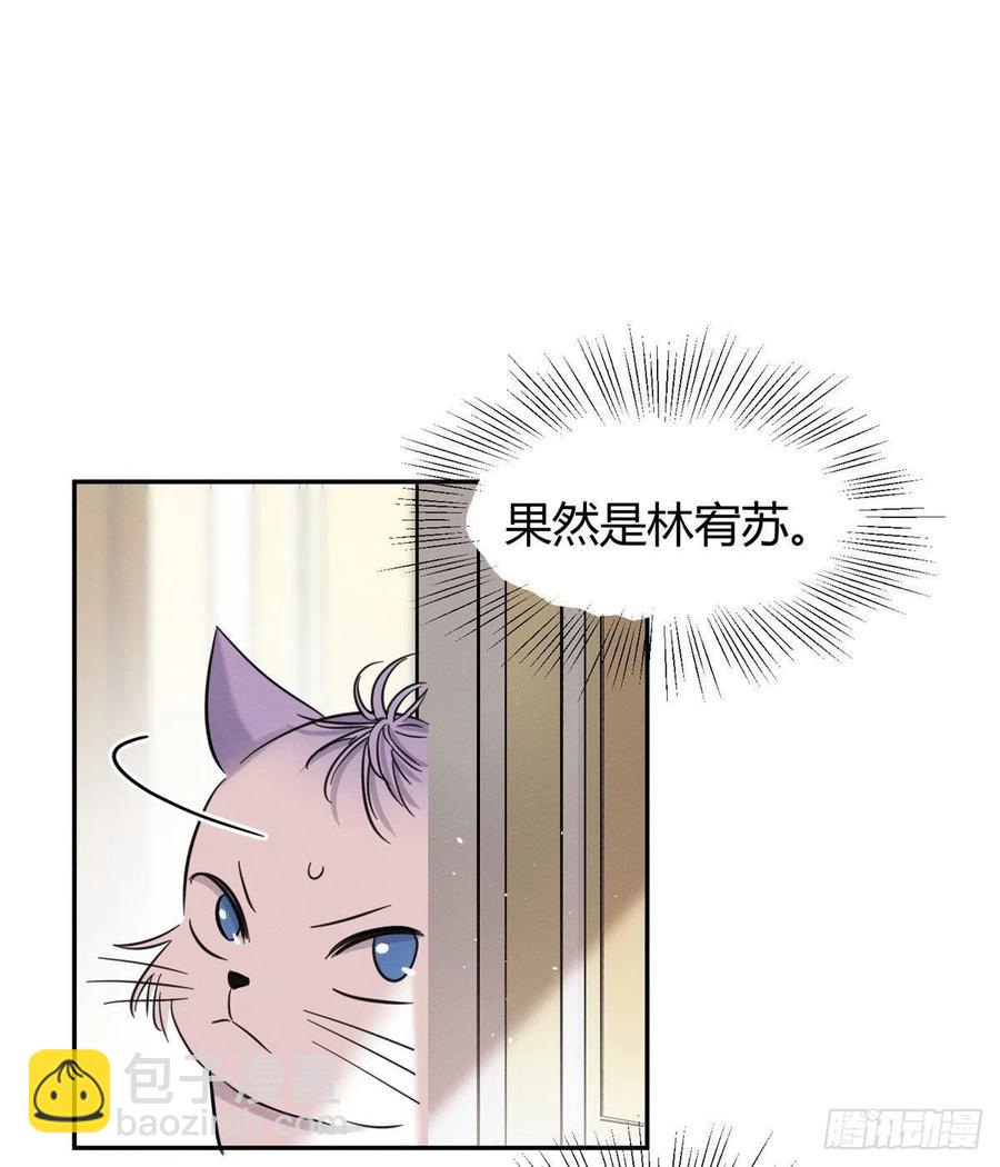 《今天也要努力当只猫》47坏女人！ 第11页