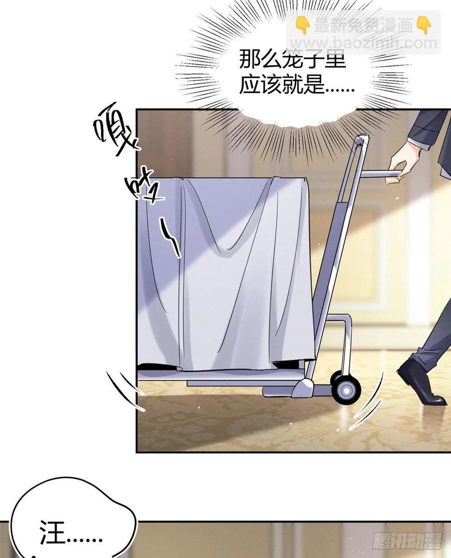 《今天也要努力当只猫》47坏女人！ 第12页