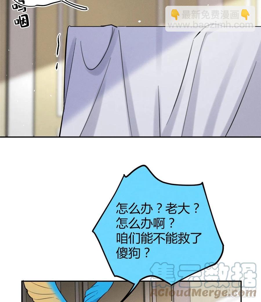 《今天也要努力当只猫》47坏女人！ 第13页