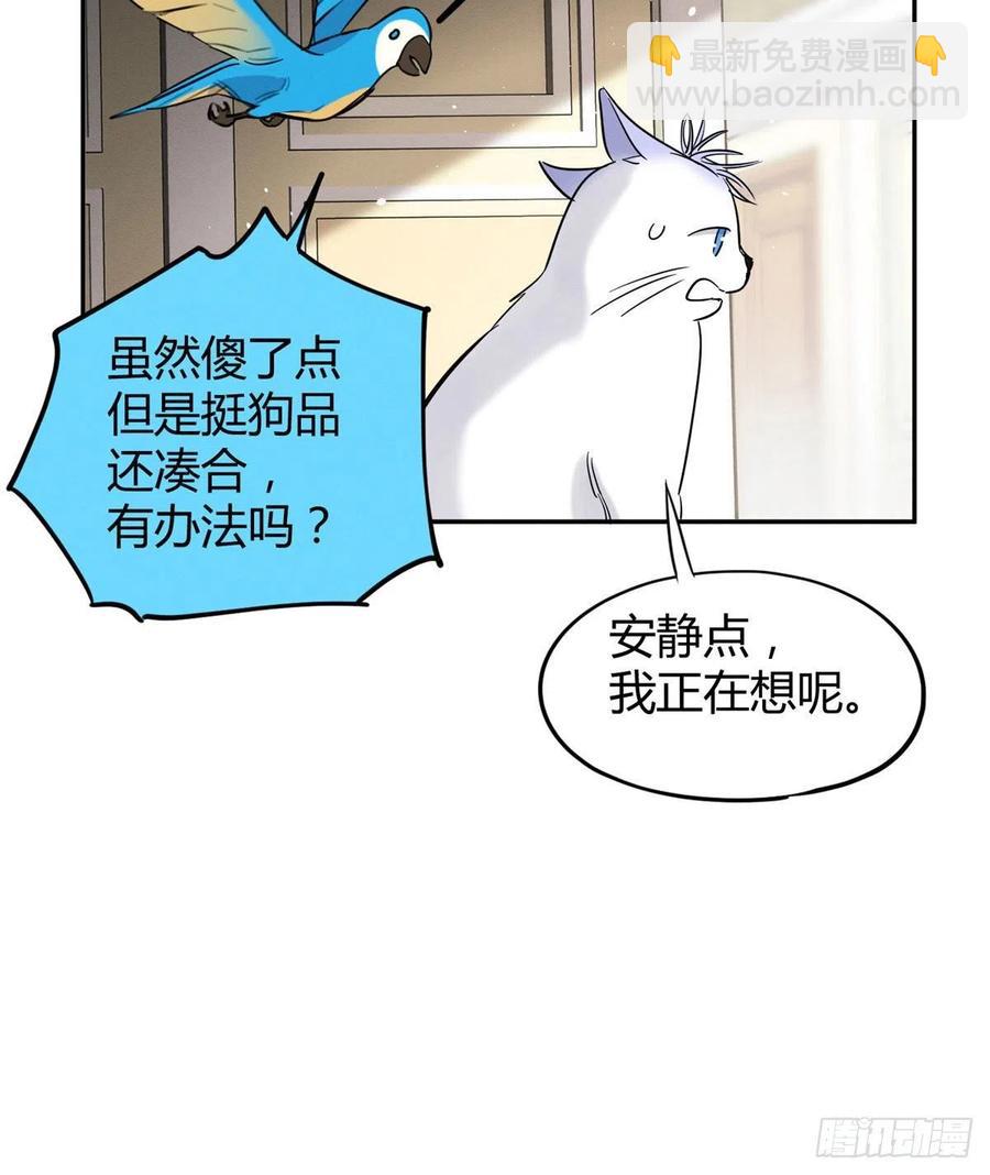 《今天也要努力当只猫》47坏女人！ 第14页