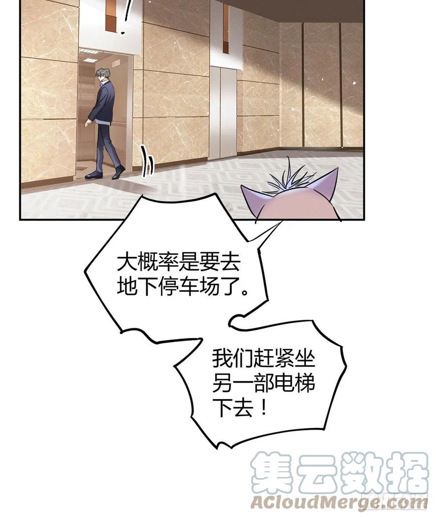 《今天也要努力当只猫》47坏女人！ 第16页