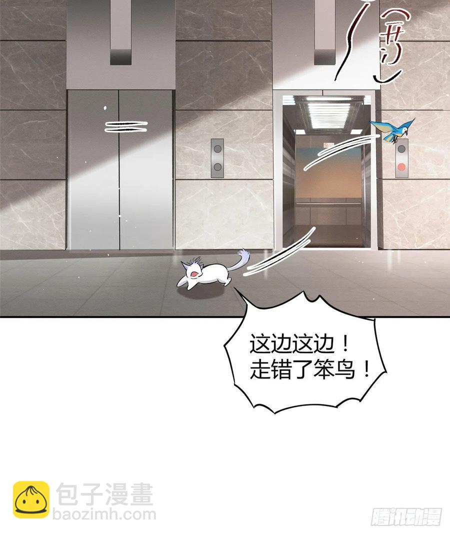 《今天也要努力当只猫》47坏女人！ 第18页