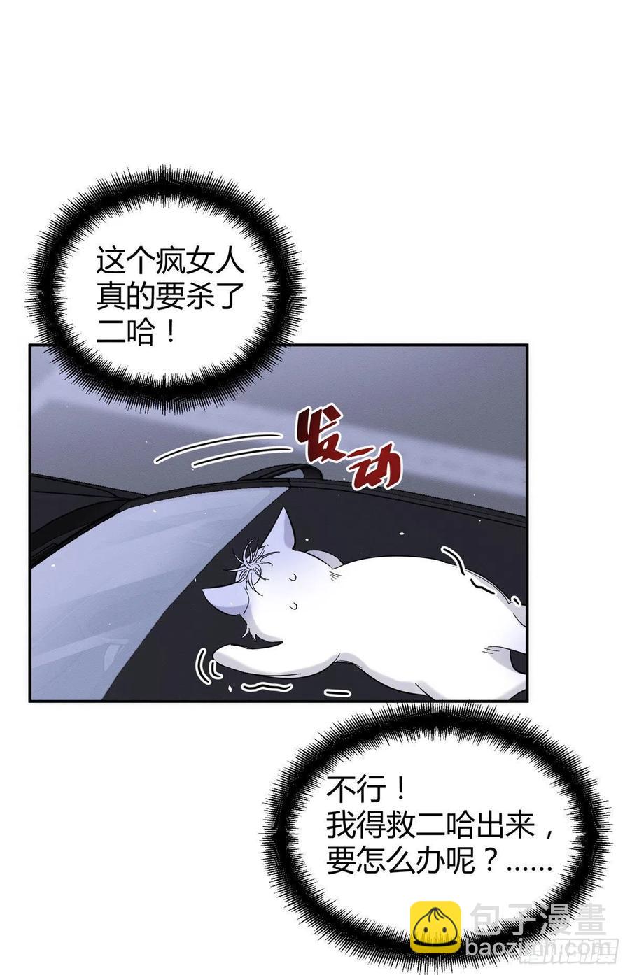 《今天也要努力当只猫》47坏女人！ 第26页