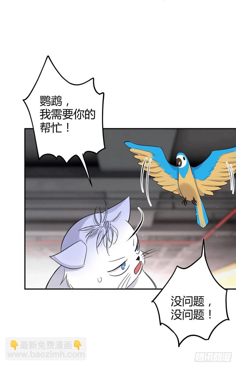 《今天也要努力当只猫》47坏女人！ 第27页