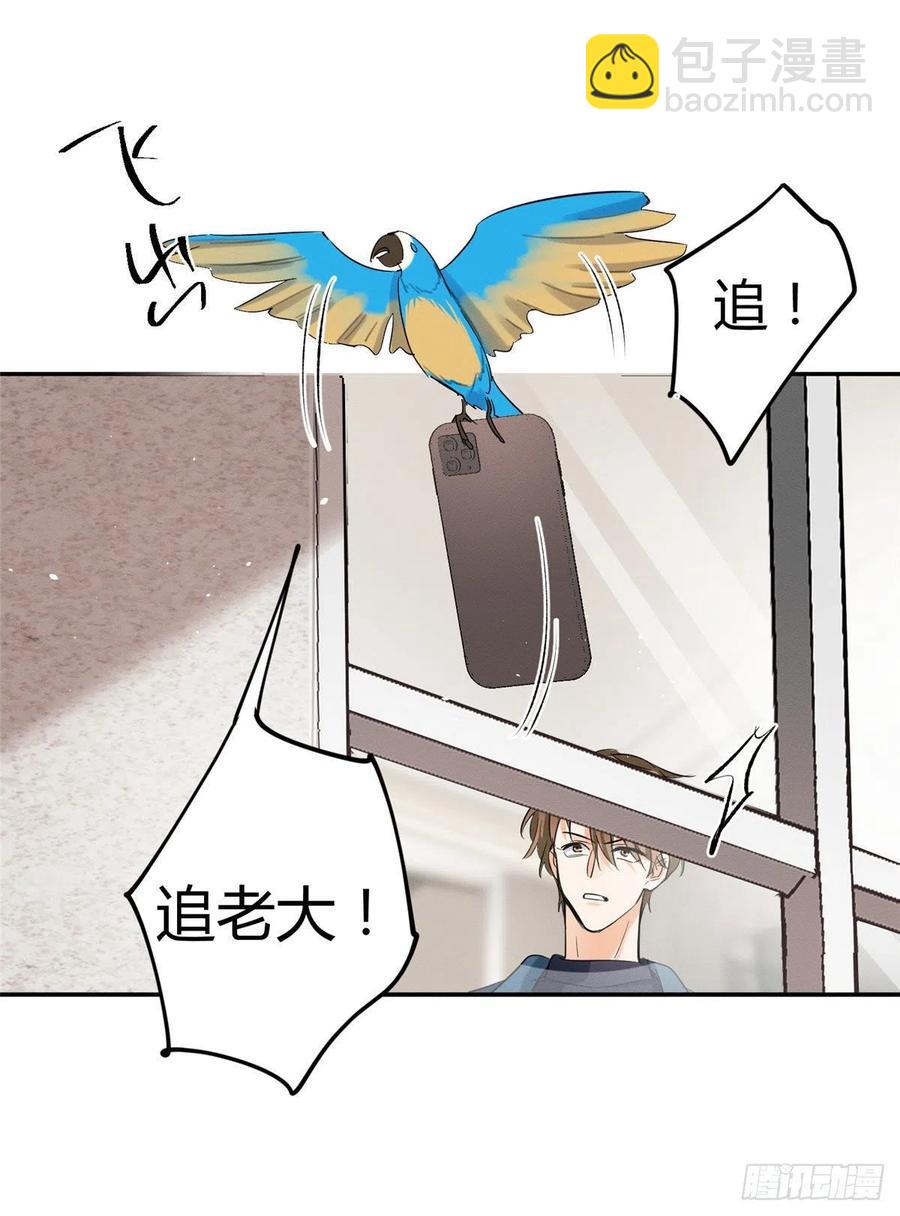 《今天也要努力当只猫》47坏女人！ 第36页