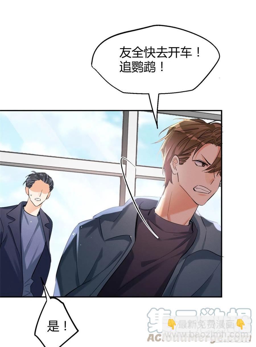 《今天也要努力当只猫》47坏女人！ 第37页