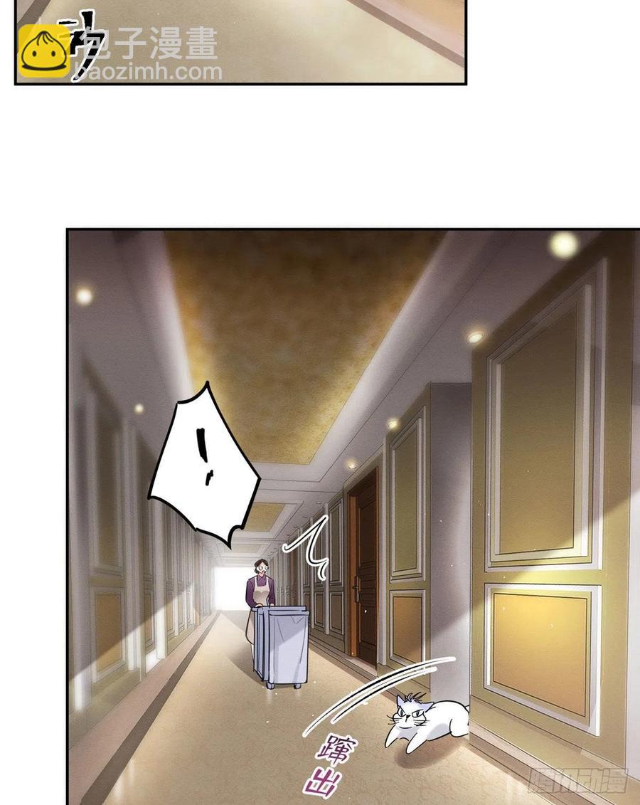 《今天也要努力当只猫》47坏女人！ 第3页