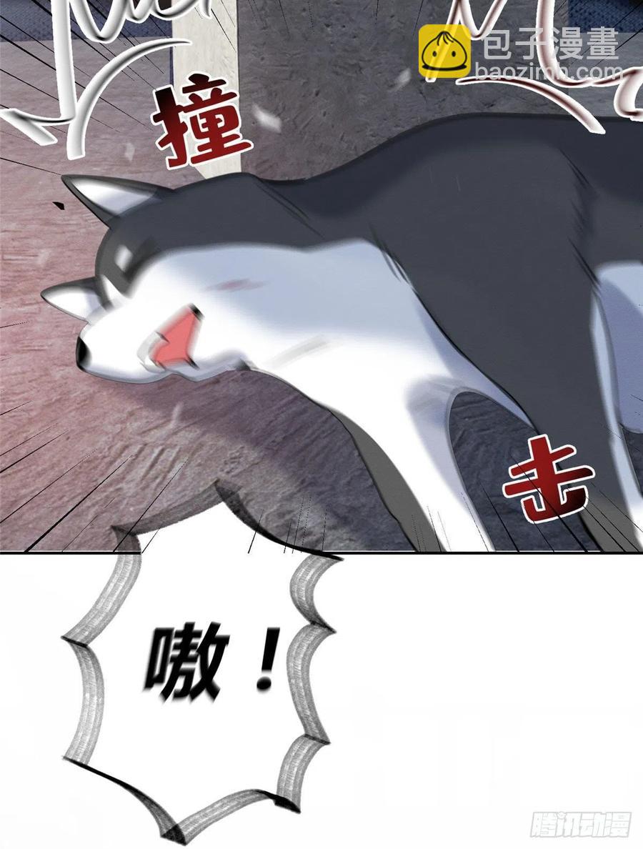 《今天也要努力当只猫》47坏女人！ 第41页