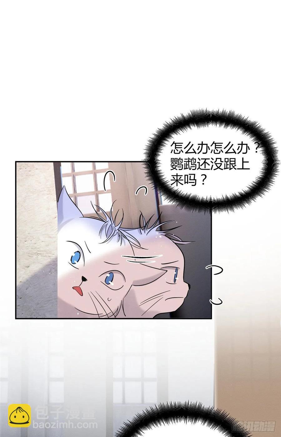 《今天也要努力当只猫》47坏女人！ 第45页