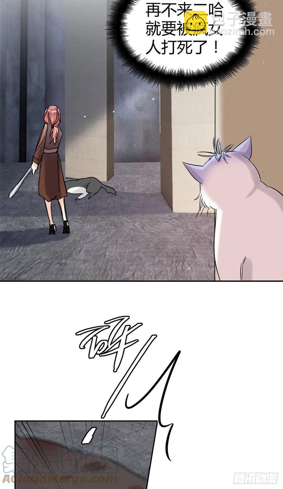 《今天也要努力当只猫》47坏女人！ 第46页