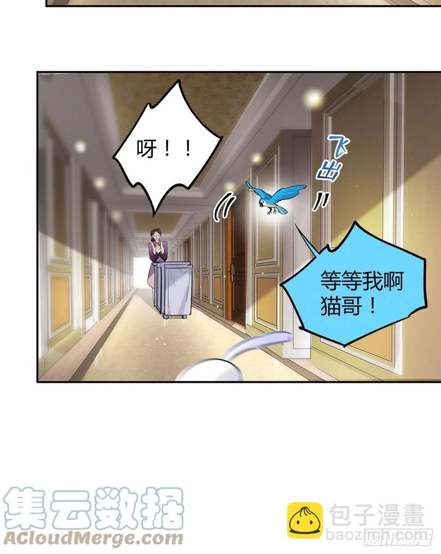 《今天也要努力当只猫》47坏女人！ 第4页