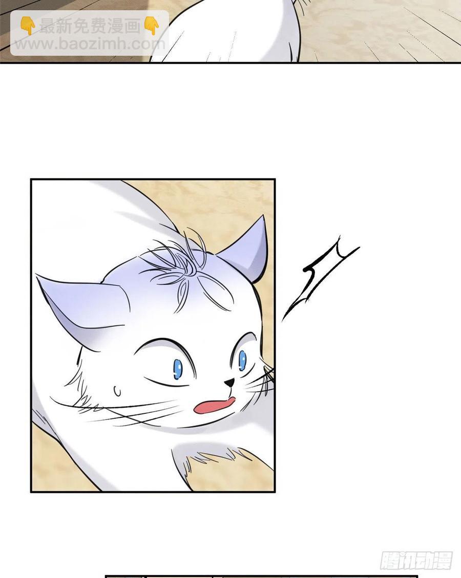 《今天也要努力当只猫》47坏女人！ 第8页