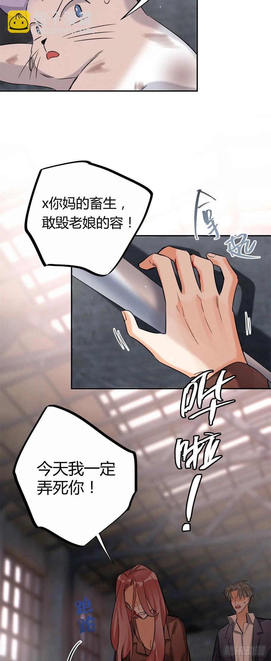 《今天也要努力当只猫》48英雄救猫狗 第12页