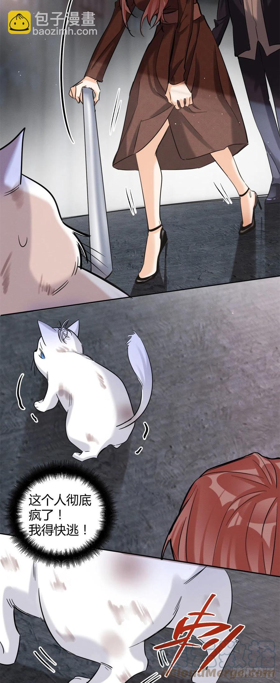 《今天也要努力当只猫》48英雄救猫狗 第13页