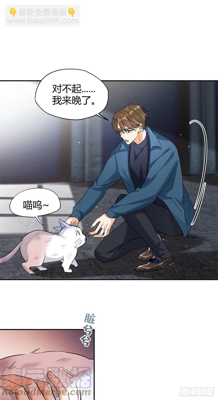 《今天也要努力当只猫》48英雄救猫狗 第21页