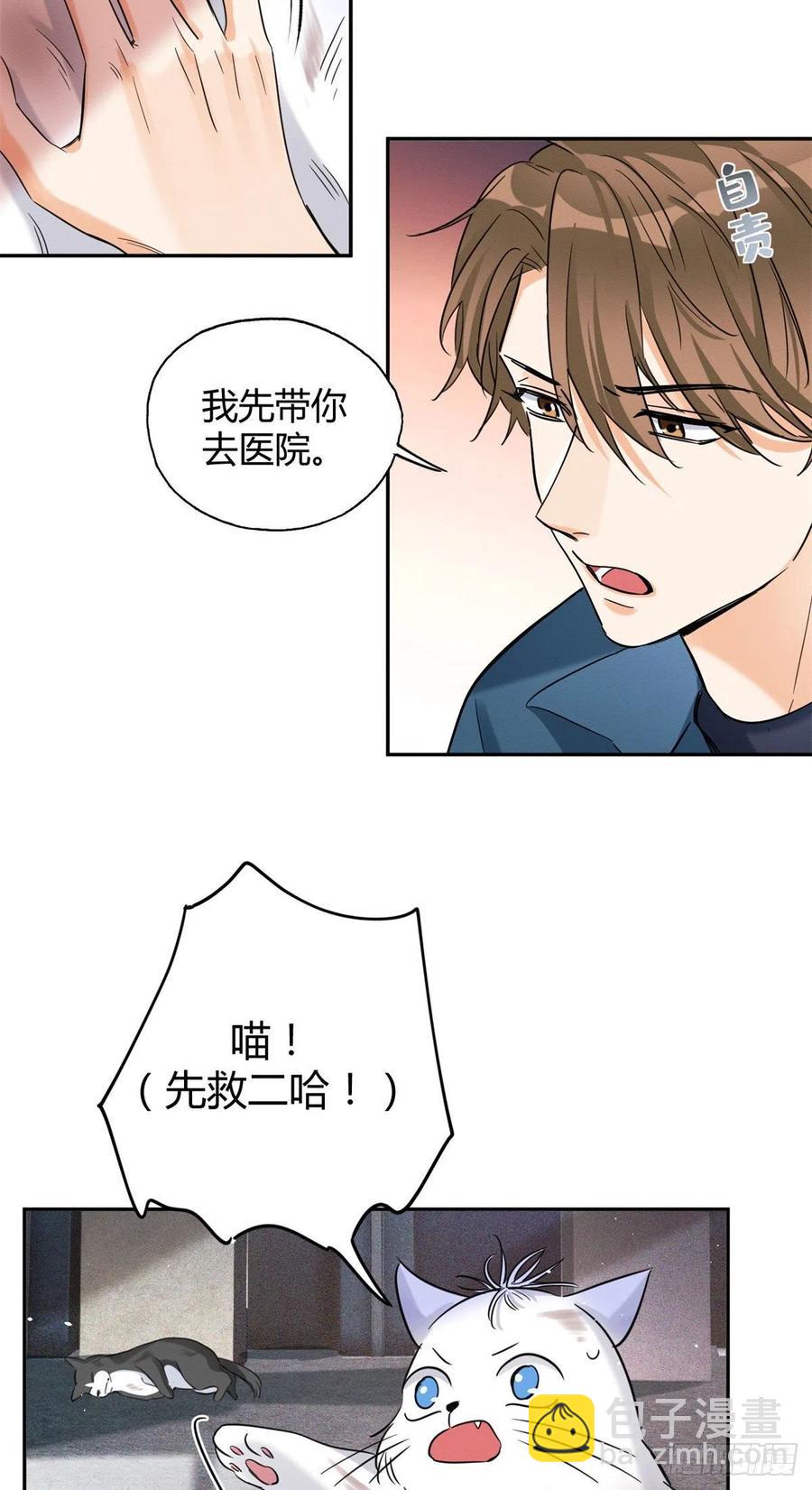 《今天也要努力当只猫》48英雄救猫狗 第22页