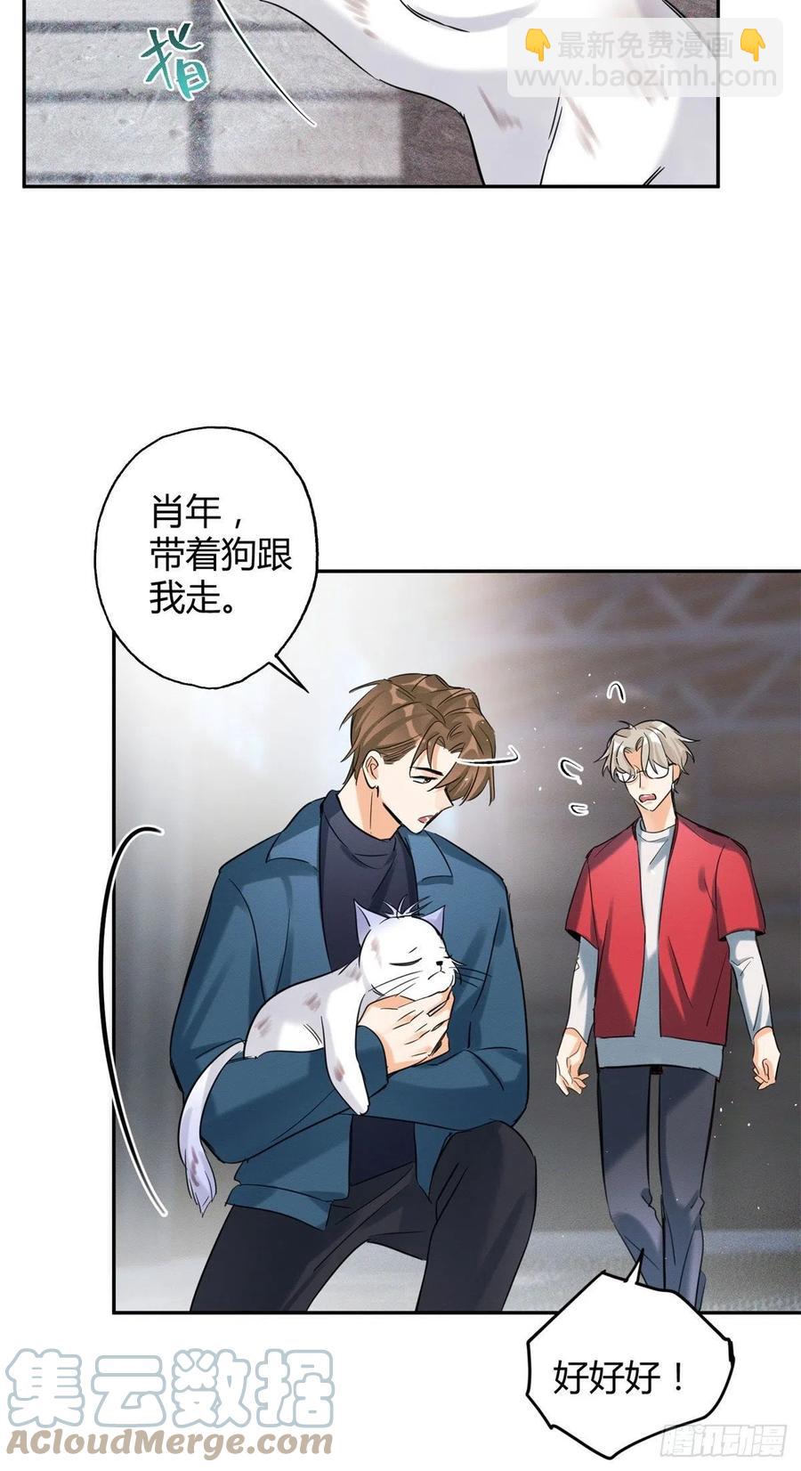 《今天也要努力当只猫》48英雄救猫狗 第23页