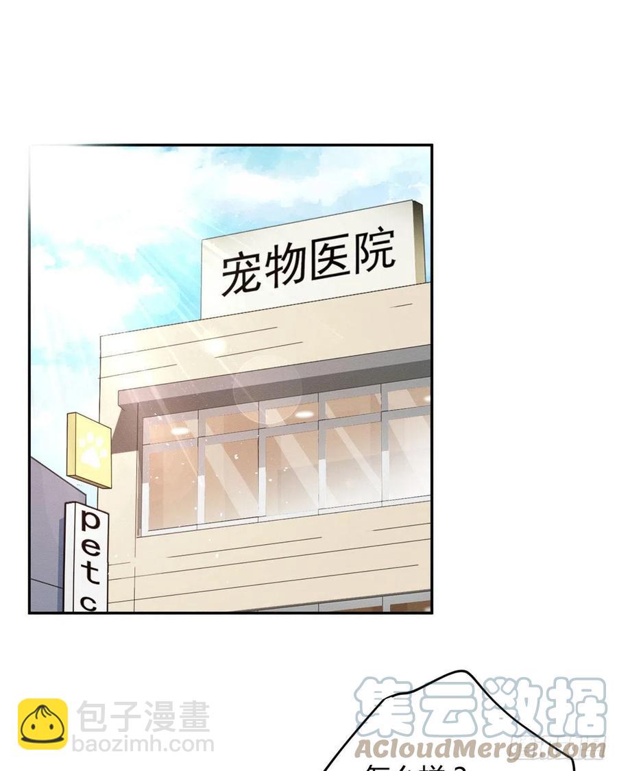 《今天也要努力当只猫》48英雄救猫狗 第33页