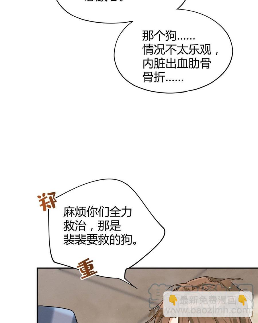 《今天也要努力当只猫》48英雄救猫狗 第35页