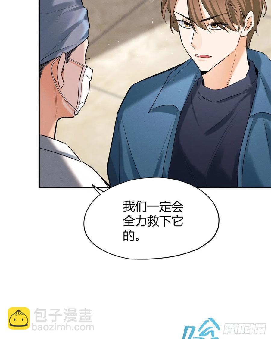《今天也要努力当只猫》48英雄救猫狗 第36页