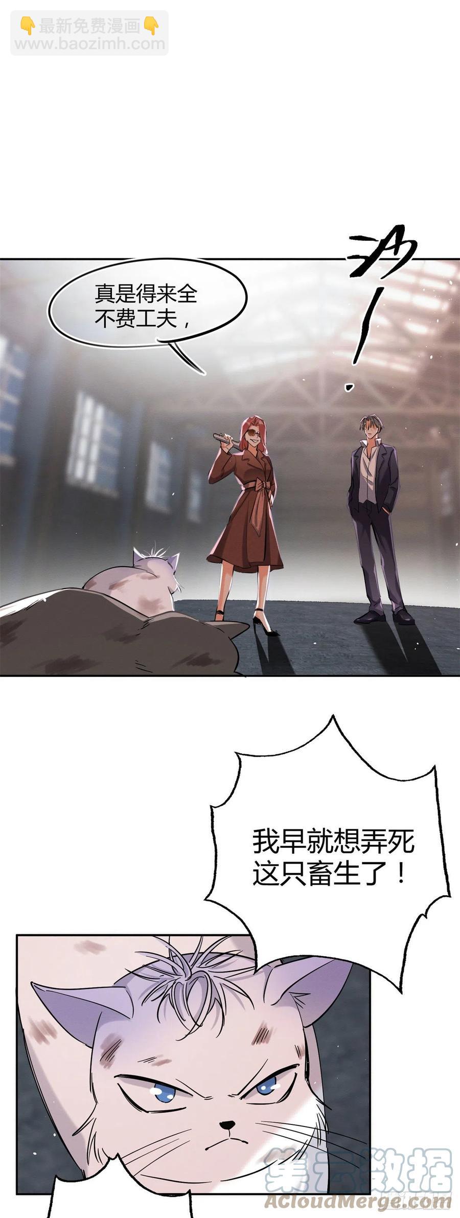 《今天也要努力当只猫》48英雄救猫狗 第3页