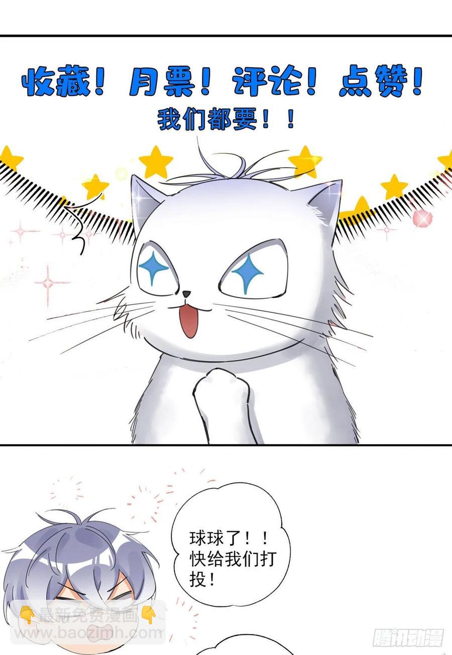 《今天也要努力当只猫》48英雄救猫狗 第40页