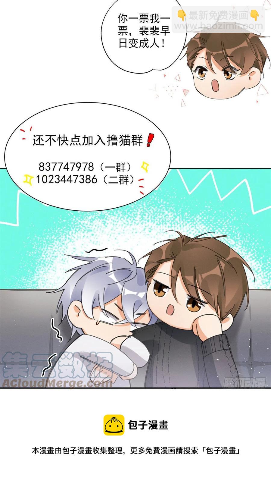《今天也要努力当只猫》48英雄救猫狗 第41页