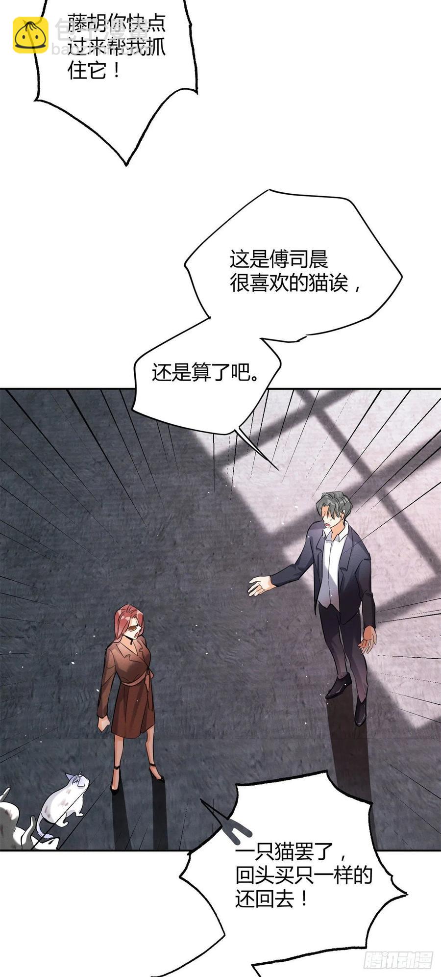 《今天也要努力当只猫》48英雄救猫狗 第4页