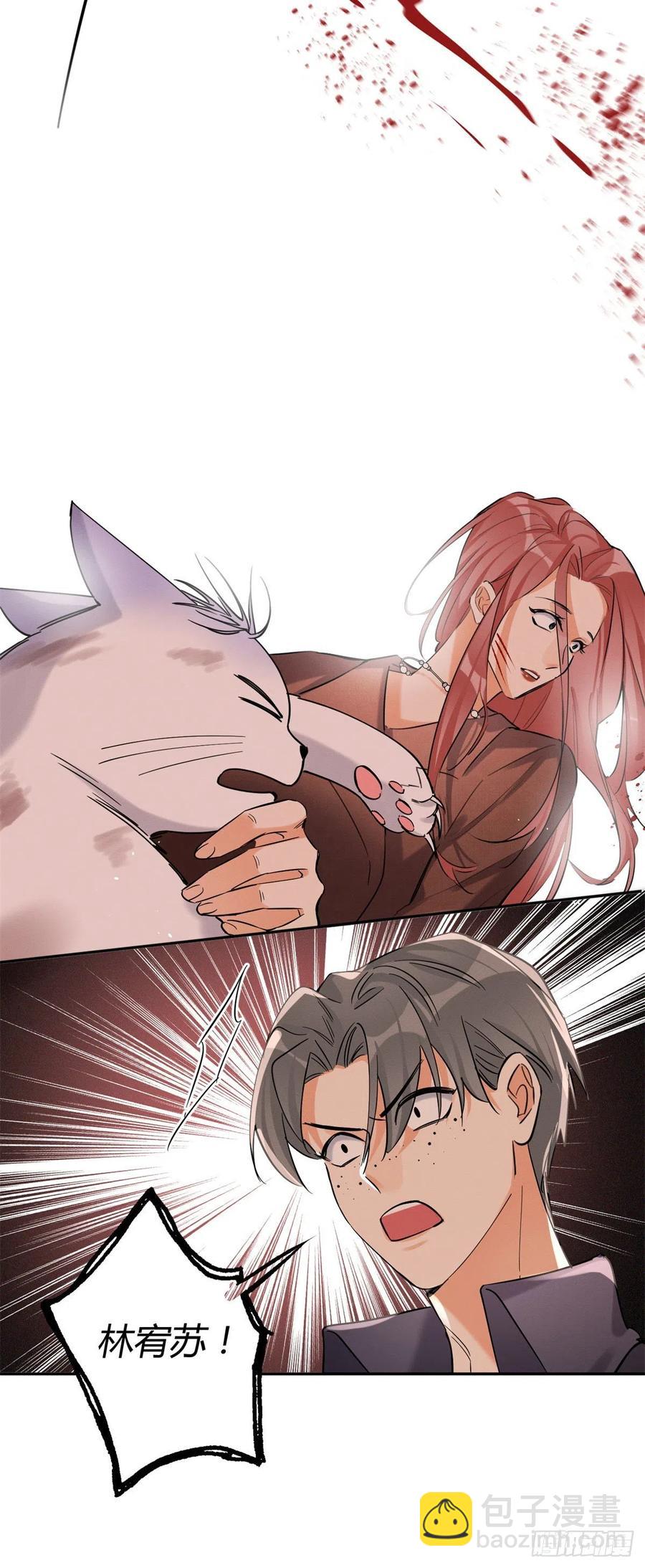 《今天也要努力当只猫》48英雄救猫狗 第8页