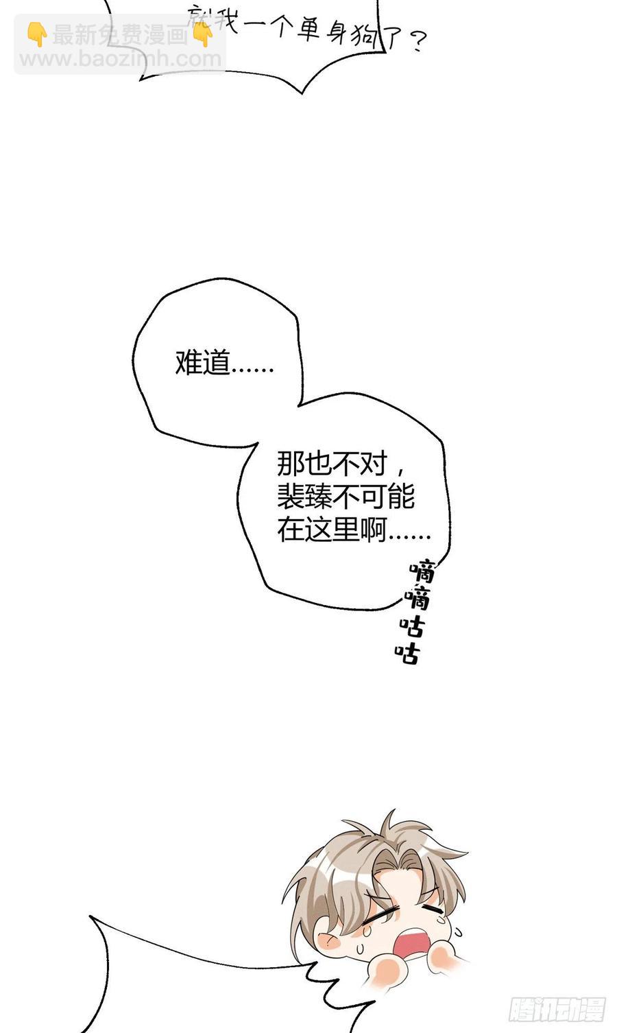 《今天也要努力当只猫》53 裴臻你变回来了？！ 第12页