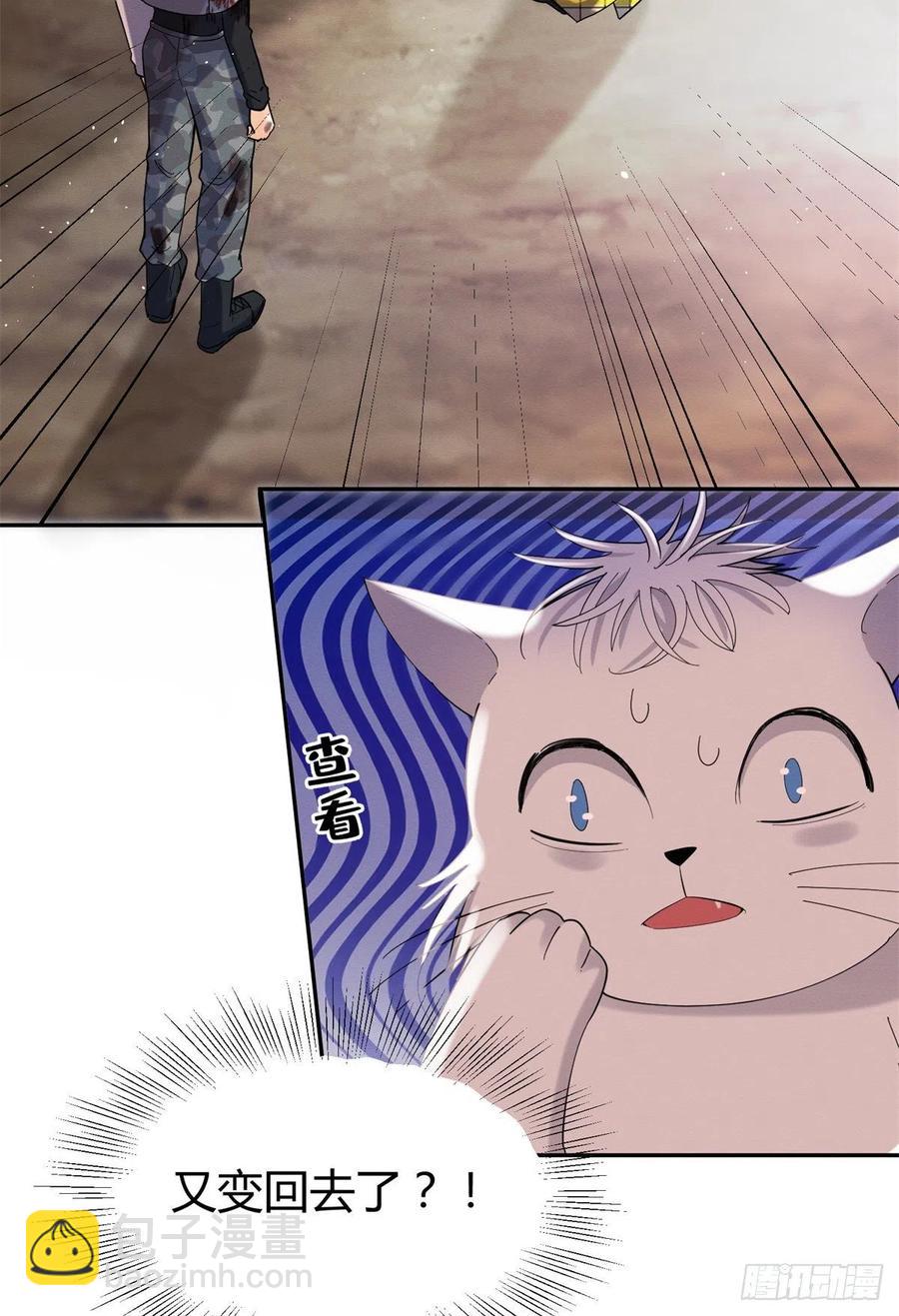 《今天也要努力当只猫》53 裴臻你变回来了？！ 第21页