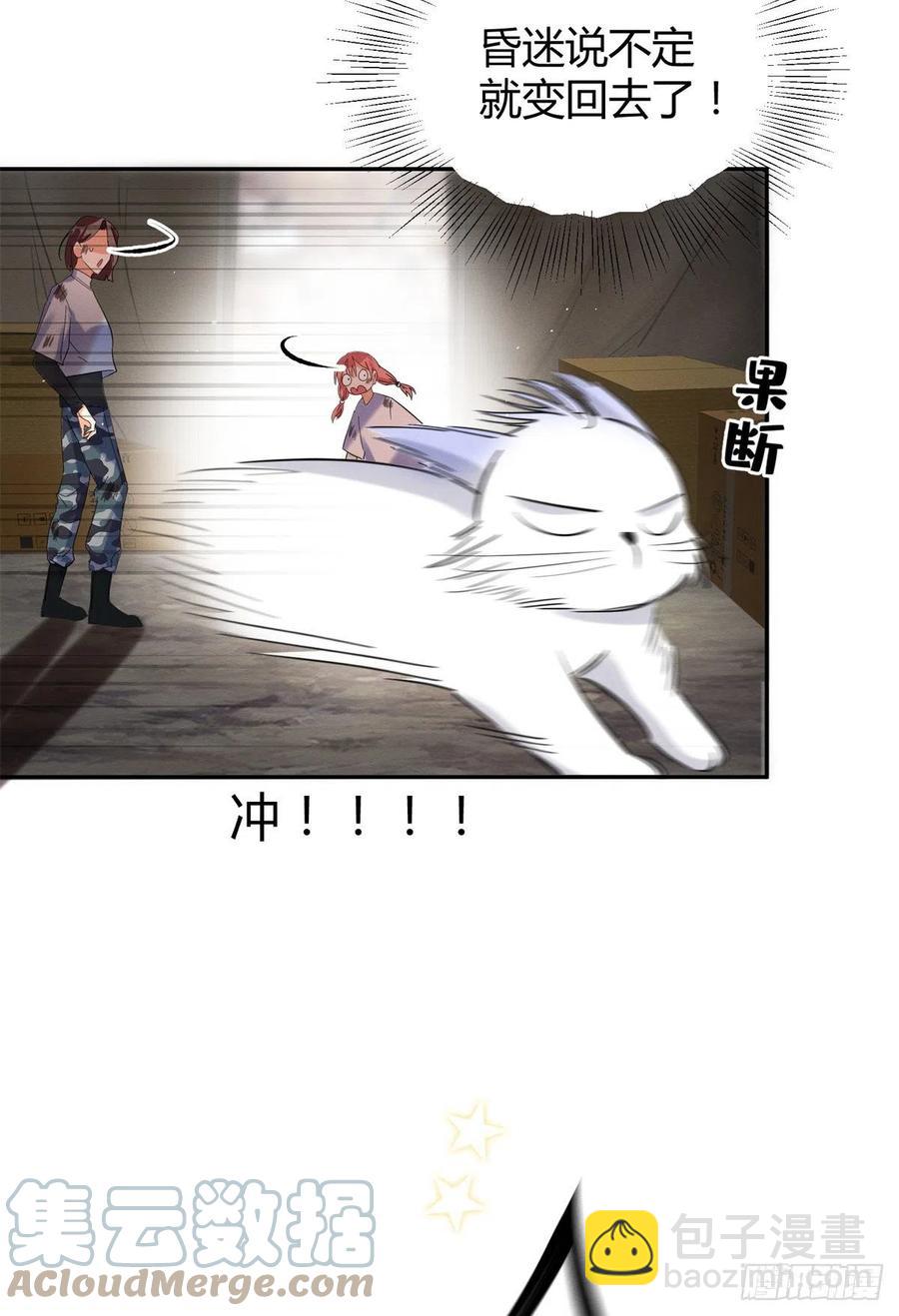 《今天也要努力当只猫》53 裴臻你变回来了？！ 第25页