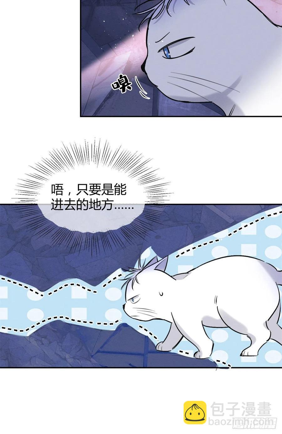 《今天也要努力当只猫》53 裴臻你变回来了？！ 第36页