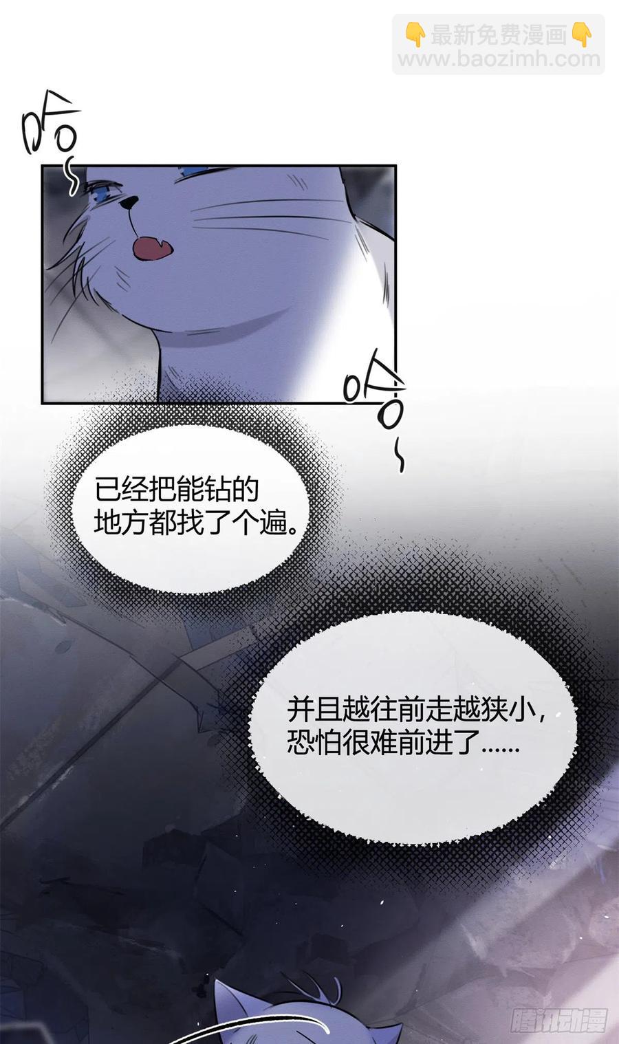《今天也要努力当只猫》53 裴臻你变回来了？！ 第47页