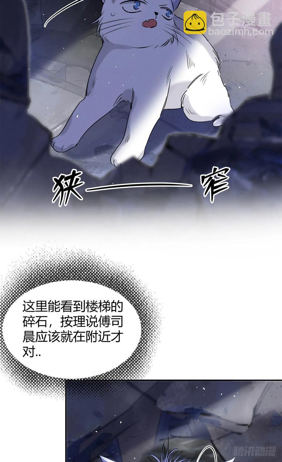 《今天也要努力当只猫》53 裴臻你变回来了？！ 第48页