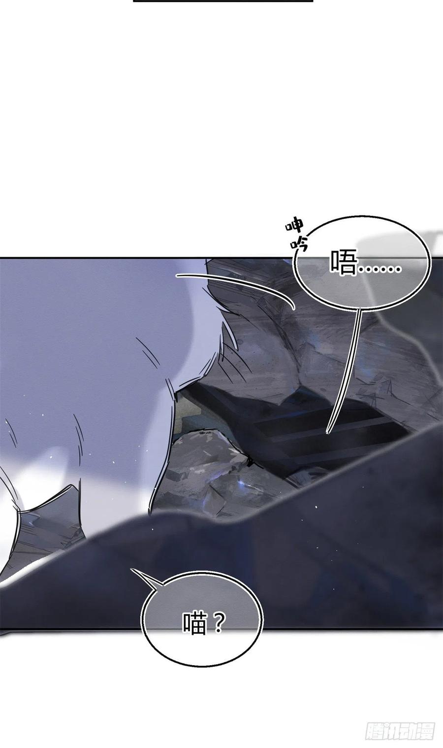 《今天也要努力当只猫》53 裴臻你变回来了？！ 第50页
