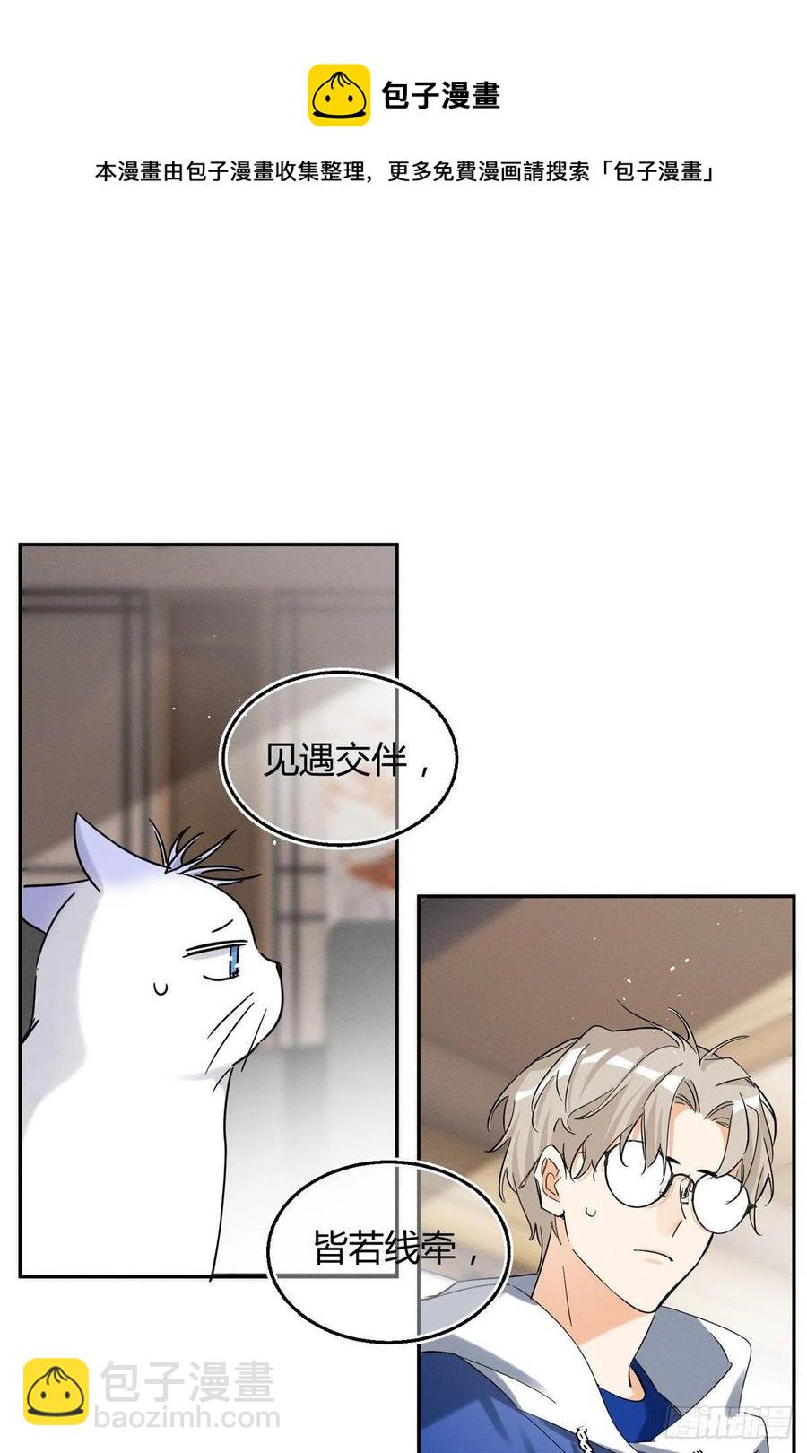 《今天也要努力当只猫》49 法师卫宵 第20页