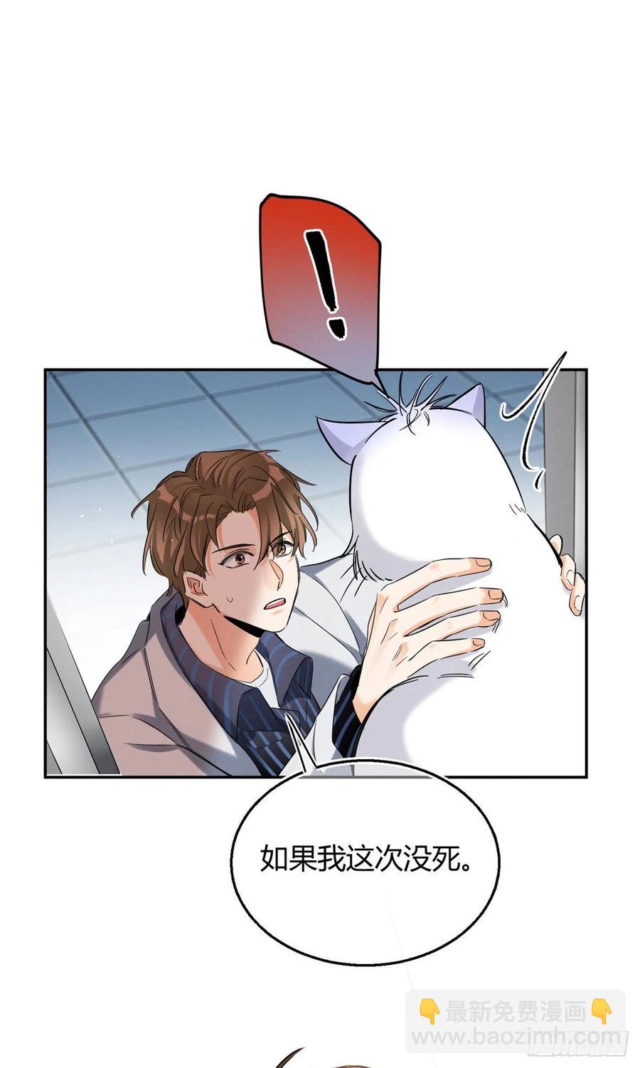 《今天也要努力当只猫》50 地震 第38页