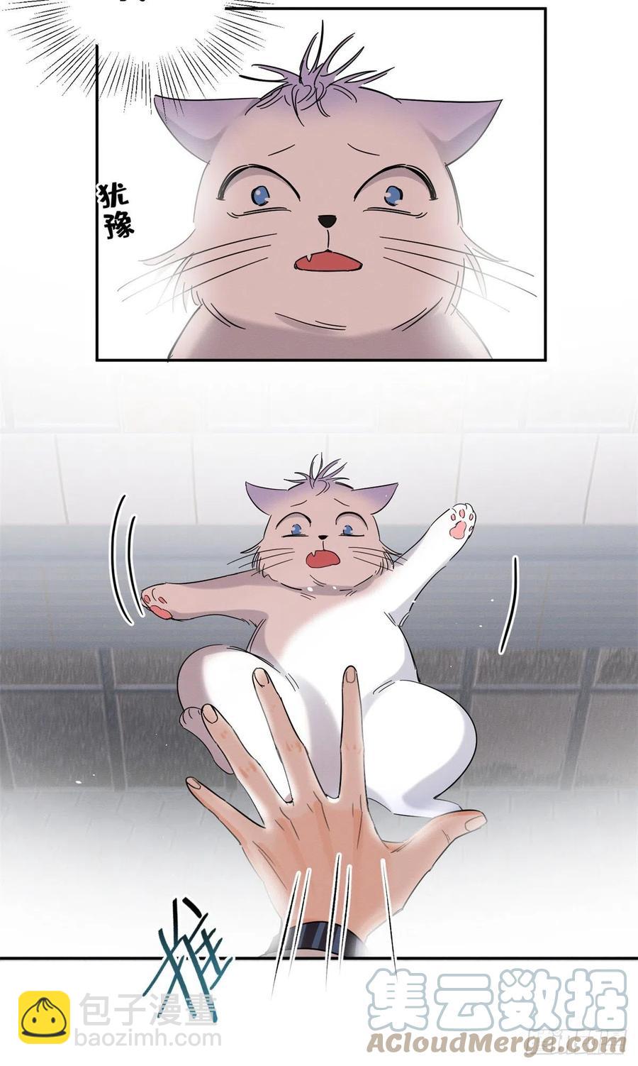 《今天也要努力当只猫》50 地震 第40页
