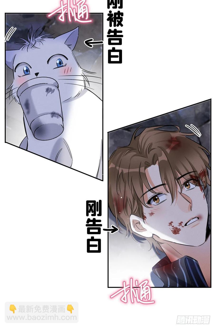 《今天也要努力当只猫》54我答应你了! 第12页