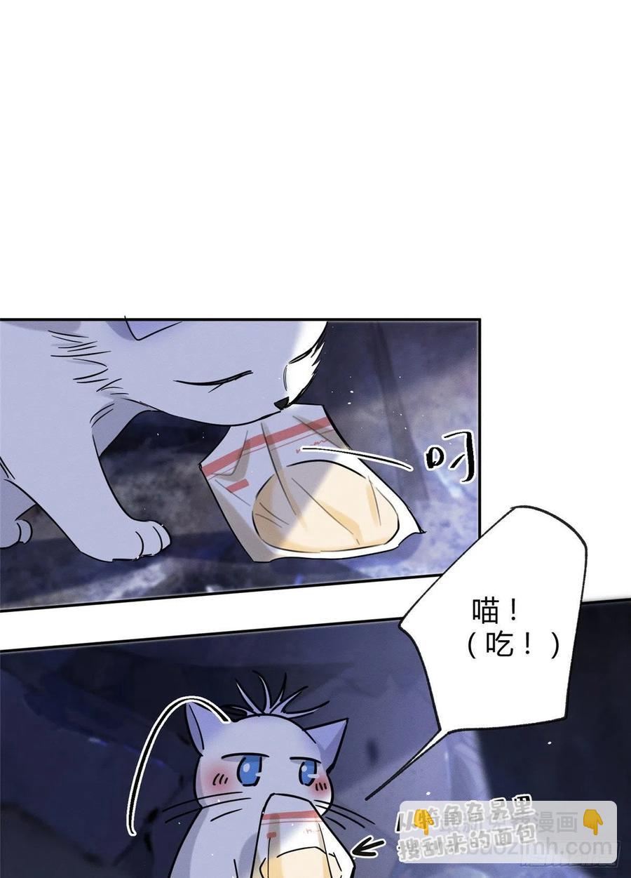 《今天也要努力当只猫》54我答应你了! 第14页