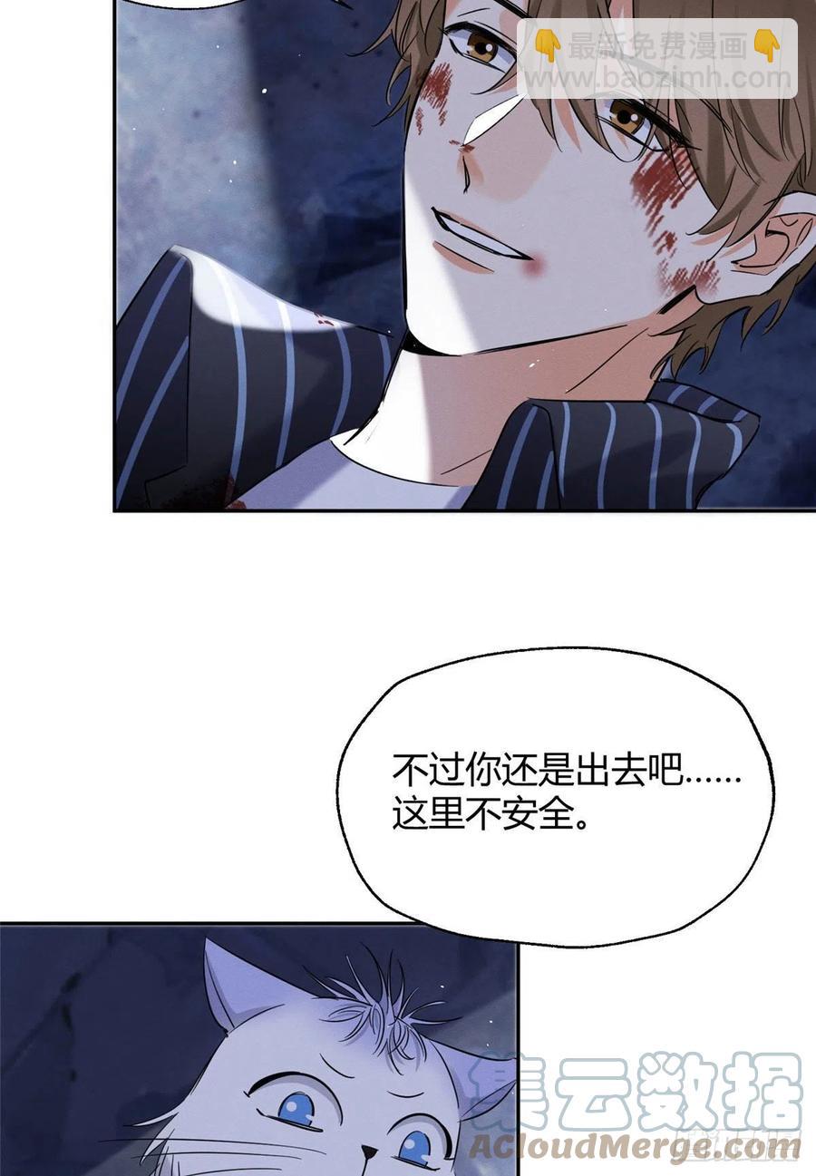《今天也要努力当只猫》54我答应你了! 第16页