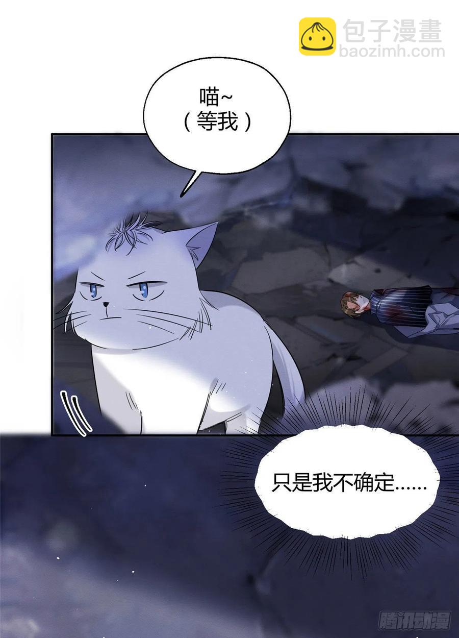 《今天也要努力当只猫》54我答应你了! 第21页