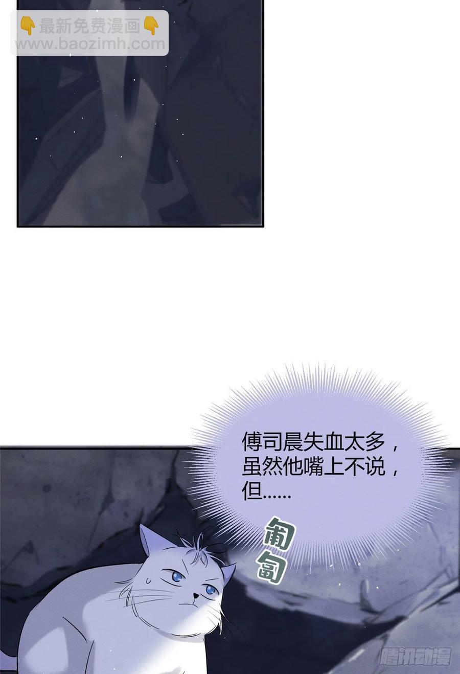 《今天也要努力当只猫》54我答应你了! 第24页