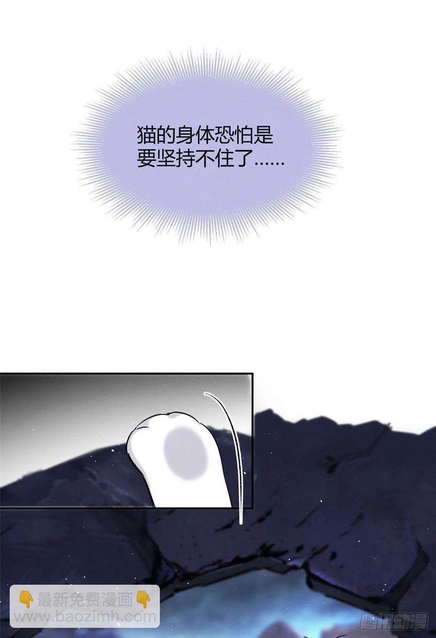 《今天也要努力当只猫》54我答应你了! 第27页