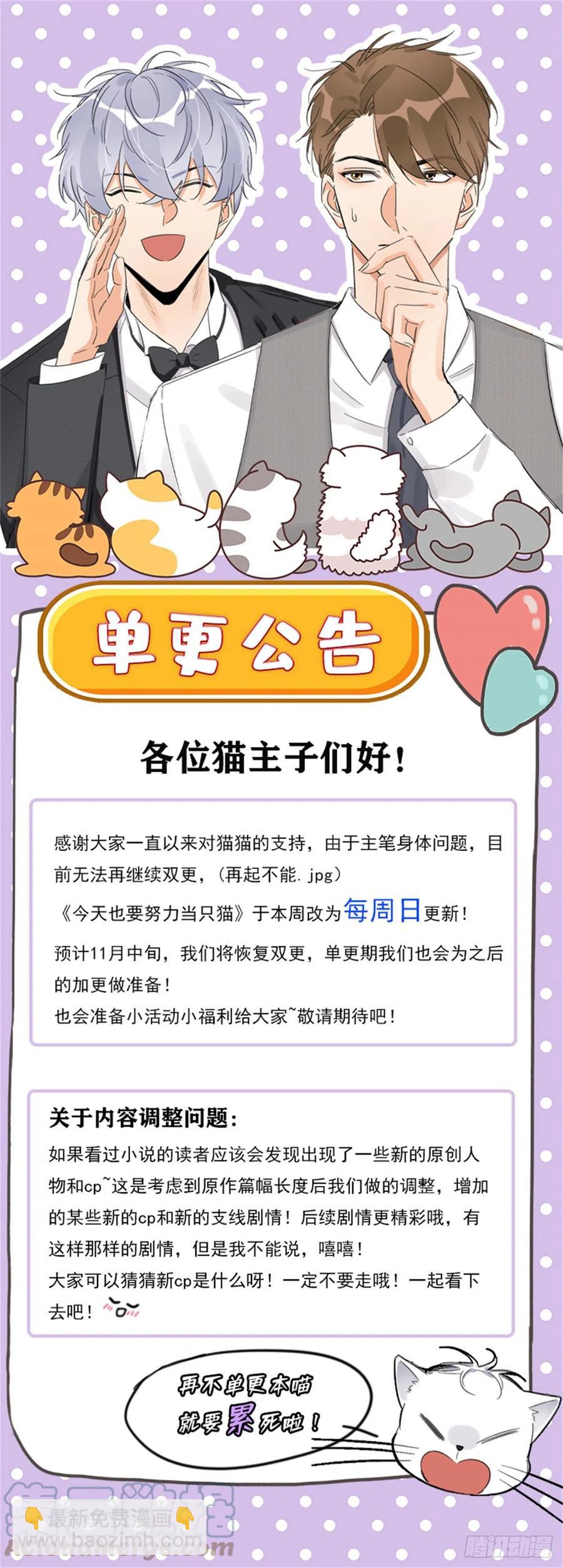 《今天也要努力当只猫》56 迎亲 第35页