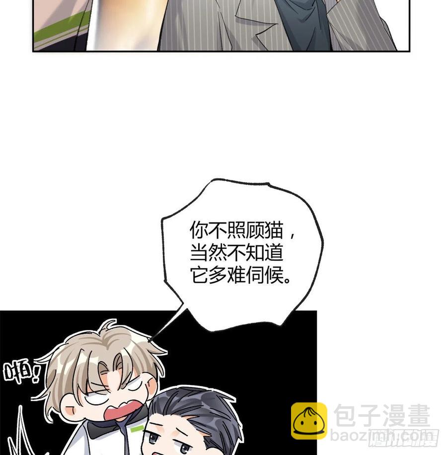 《今天也要努力当只猫》57 我喜欢岑 第8页