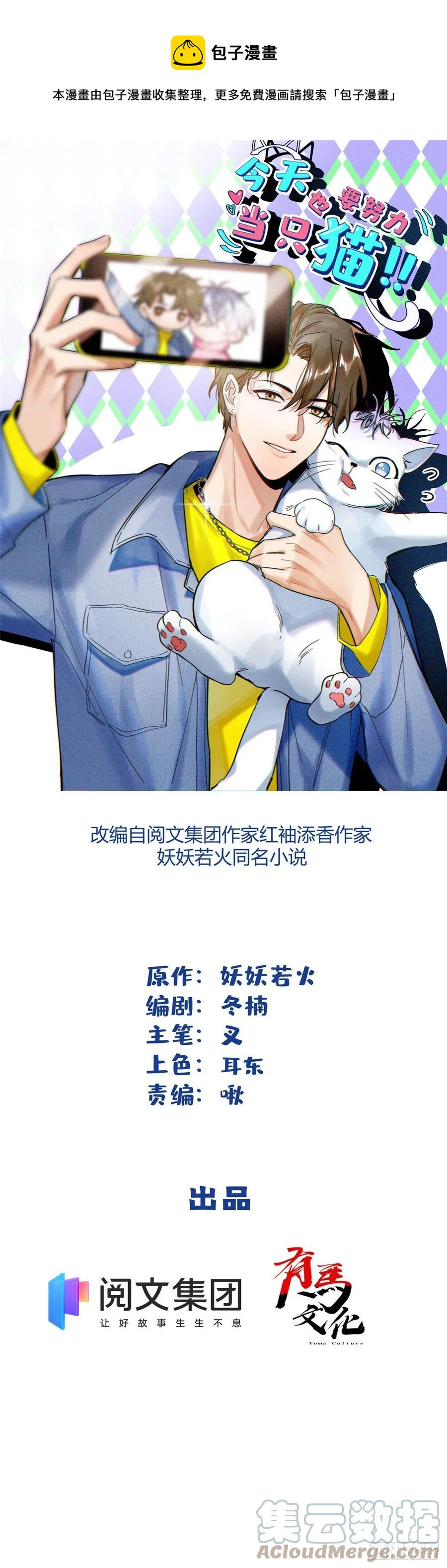 《今天也要努力当只猫》59 交往的前提约定 第1页