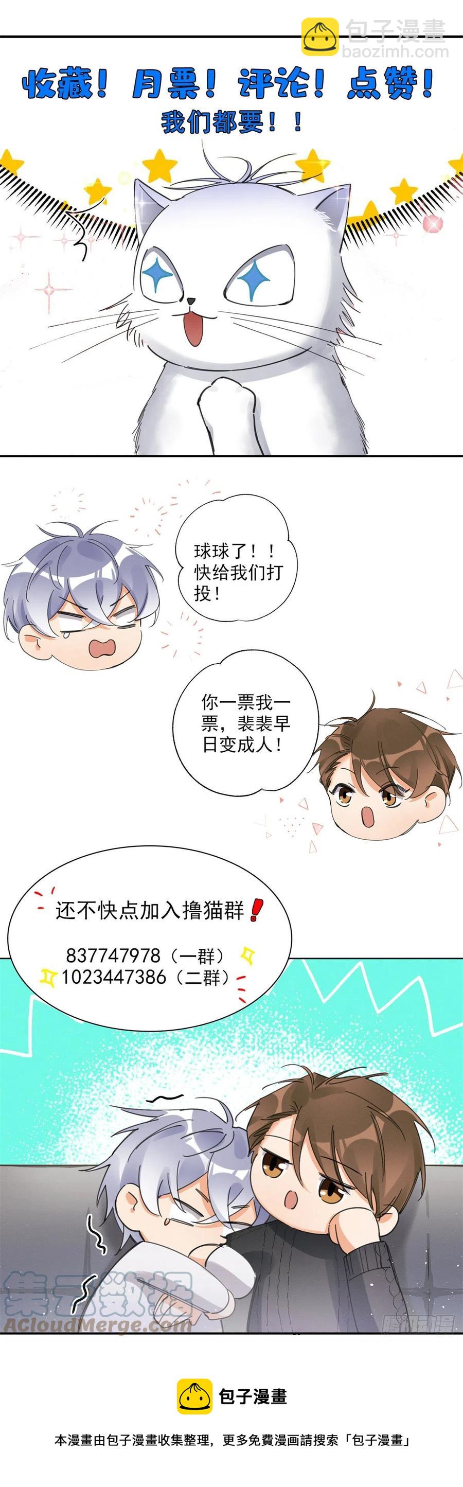 《今天也要努力当只猫》60 朋友一号 第39页